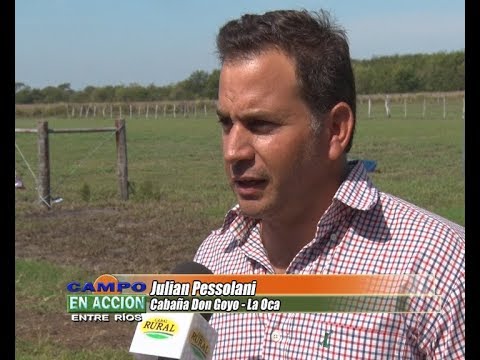 Julian Pessolani - Tercera edición de la Prueba Pastoril del Litoral 2018