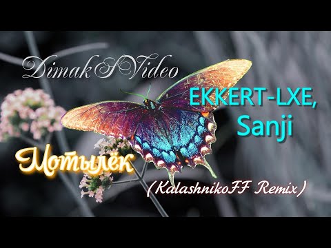 EKKERT-LXE, Sanji - Мотылёк (KalashnikoFF Remix) (DimakSVideo)