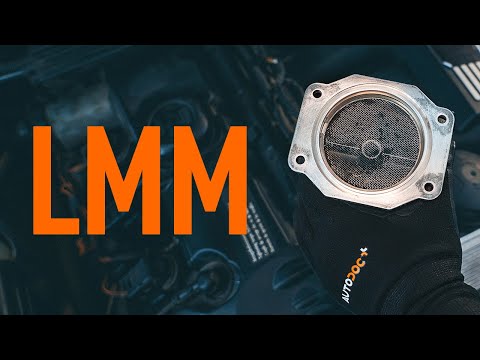 Überprüfung des LMM | Tipps von AUTODOC