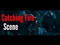 Catching Fire Scenes - Monkey Mutts