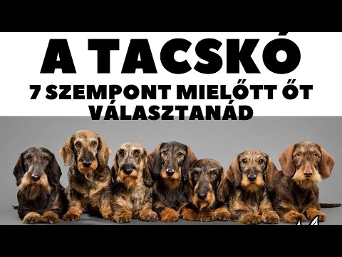 nem lehet-e merevedés az alkoholtól rögzítő pénisz hüvely