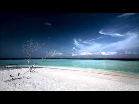 Planet Perfecto and Adam Ellis vs Bryan Kearney - Bullet in the Nettle (Ben Nicky Mashup)