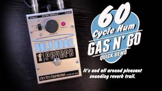 Video thumbnail for GAS N' GO - EHX Holy Grail Reverb by 60 Cycle Hum