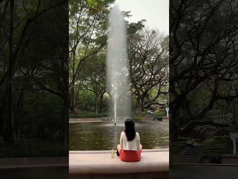 Explore Tsim Sha Tsui’s urban tranquillity｜探索尖沙咀不同面貌