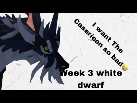 The Last Week Update has arrived😁// I want this wolf so bad😭