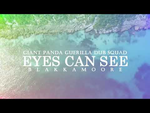 🐼 Giant Panda Guerilla Dub Squad feat. Blakkamoore - Eyes Can See [Official Video]