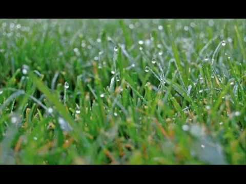 Kevad Kadriorus Uno Loop