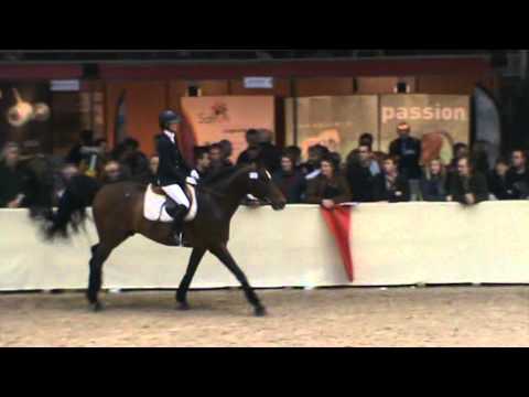 Quite Easy (Quidam de Revel)