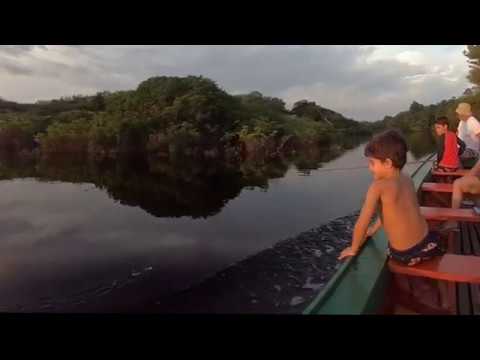 AMAZONIA IN A NUTSHELL (tariri lodge)