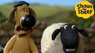 Shaun the Sheep 🐑 Sheep of the corn - Cartoons for Kids 🐑 Full Episodes Compilation [1 hour]