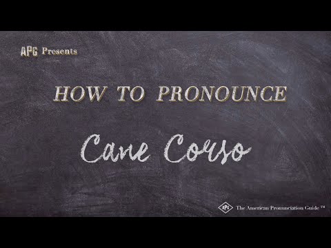 How to Pronounce Cane Corso (Real Life Examples!)