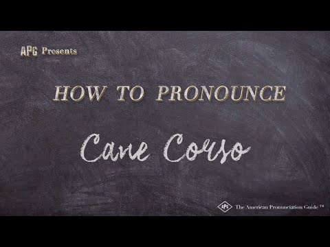 2nd YouTube video about how do you say cane corso