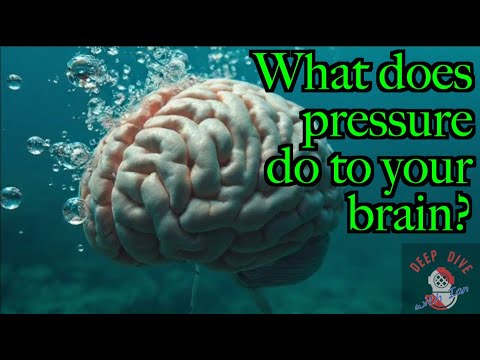 Oxygen Toxicity & Nitrogen Narcosis: The Brain Under Pressure