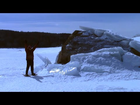 The Woodpecker - 6 days at the cottage in March