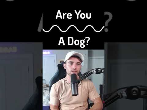Are you a Dog?