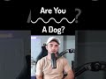 Are you a Dog?
