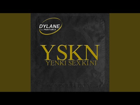 Yenki sex ki ni (YSKN)