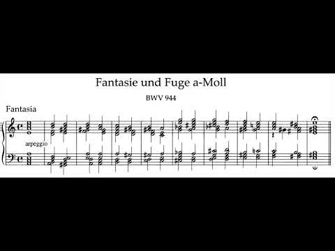 Bach: Fantasia and Fugue in A Minor, BWV 944 (Rafał Blechacz)
