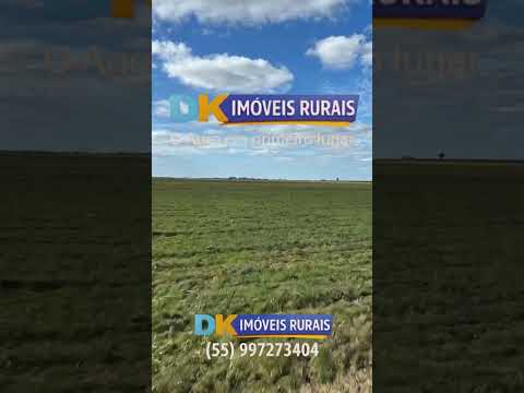 🚜 Arrendamento Rural no RS | Áreas de 200 a 4.500 Hectares 🌾