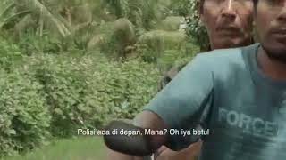 Download lagu Amak sae kena tilang mp3