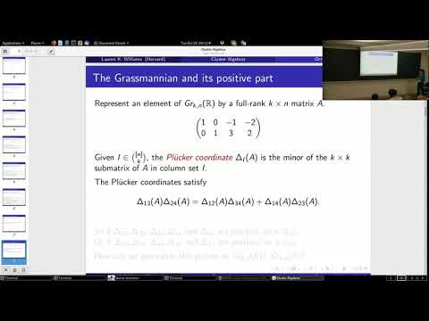Lauren Williams | Introduction to cluster algebras