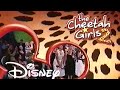 Disney Channel Commercials August 25 2006 60fps
