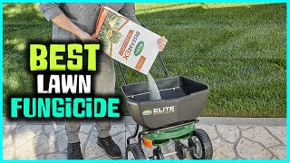 5 Best Lawn Fungicide [Review] - Lawn Fungicide Treatment/Multi-Purpose Lawn Fungicide Spray [2022]