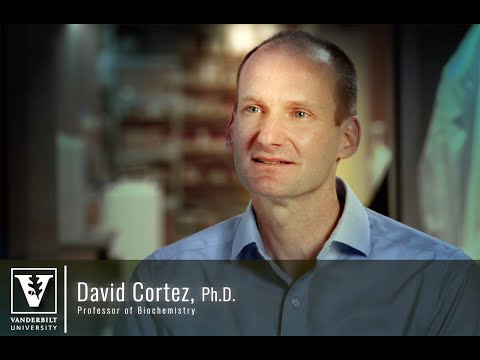 David Cortez Research Overview - Cancer/DNA Replication
