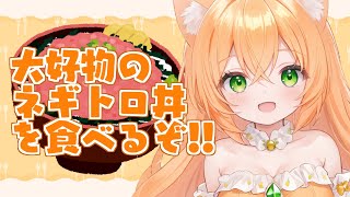 大好物✨ネギトロ丼を食べながら雑談！【望月のあ】