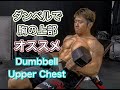 ダンベルを使って鍛える胸の上[Chest Workout]
