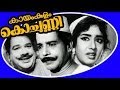 Kayamkulam Kochunni Malayalam Black And White Movie Sathyan