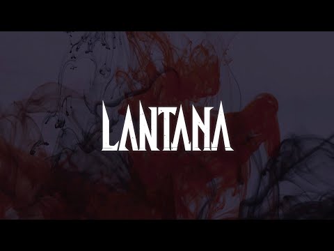Lantana Rapper LANTANA profile | LANTANAプロフィール | vkgy (ブイケージ)