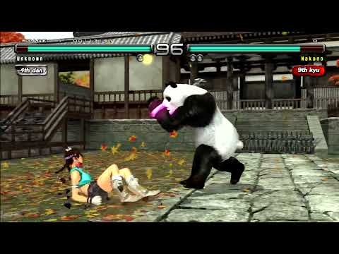 Tekken 5 DR Panda Vs. Julia