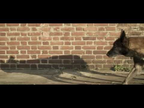 SKRILLEX - Bangarang feat. Sirah [Official Music Video].