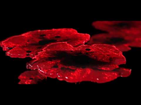 Видеообзор