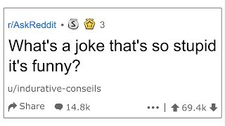 Funny Stupid Jokes
