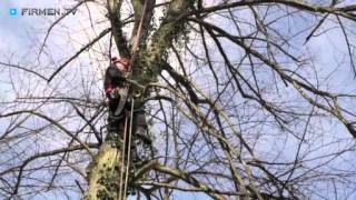 preview picture of video 'Riechmann Baumpflege in Schauenburg-Hoof/Kassel - Obstbaumschnitt, Baum fällen, Baumsanierung'