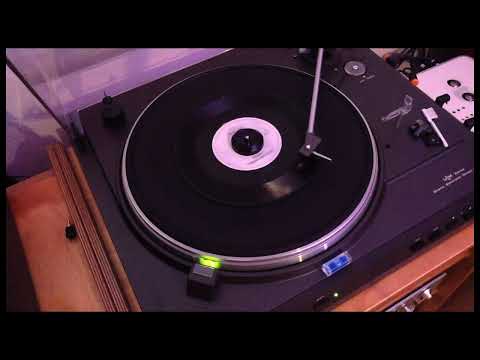 Rare 45 record found in BfO Thrift  Store : Winne von der Spree & Lupus "Stasi Song"