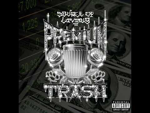 Premium Trash - PSB (Official Audio)