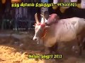 Sambrani Patti சாம்பிராணிப்பட்டி Kovil Maadu Alanganallur Jallikat