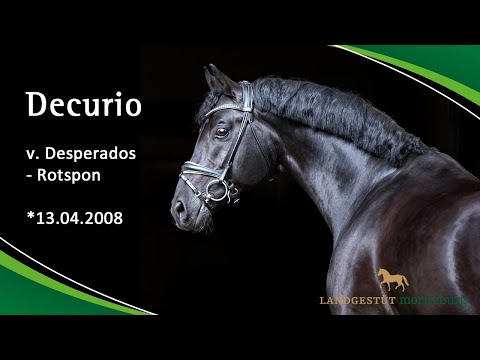 DECURIO v. Desperados - Rotspon