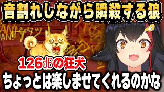 【音量注意】声量ホロライブ最強の狼がワンワンバトルをやるとこうなる【ホロライブ 切り抜き/大神ミオ】