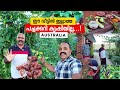 ഈ വീട്ടിൽ ഇല്ലാത്ത പച്ചക്കറി ഒന്ന് പ�