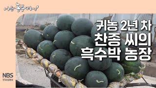 [나는농부다 303회] 귀농 2년 차 찬종 씨의 흑수박 농장