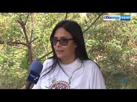 O DIA NEWS 02 09  Setembro eÌ meÌ‚s de desova dos CaÌgados de Barbicha