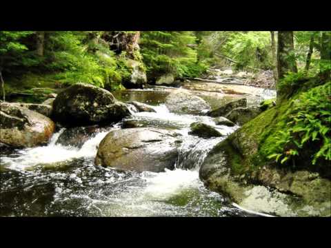 Ronny - Wenn alle Brünnlein fließen