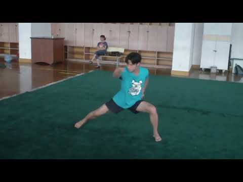 Nan Quan Compulsory 1st set instructional by Huang Shao Xiong laoshi, part 1