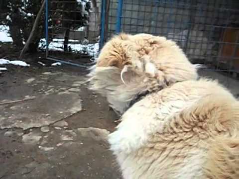 test video Kodak easyshare M23
