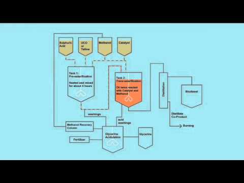 Biodiesel Animation