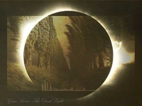 Grim Service - The Dark Light